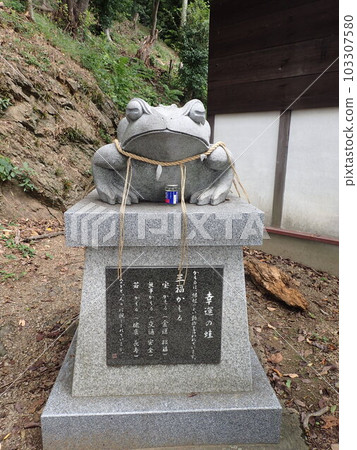 男山八幡宮位於兵庫縣姬路市山野井町，山上。 103307580