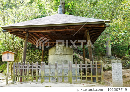 松山市的道後溫泉和湯釜藥師 松山市的道後溫泉和湯釜藥師 103307749