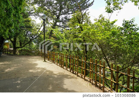 松山道後溫泉附近綠意盎然的道後公園 松山道後溫泉附近綠意盎然的道後公園 103308086