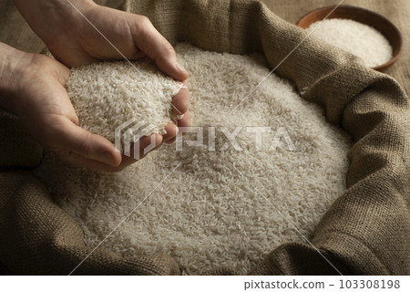Human hands holding handful of rice over burlap sack 103308198