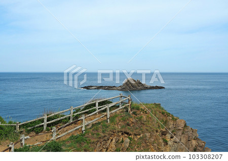 Otaru Steller's sea lion rock at Takashima Cape 103308207