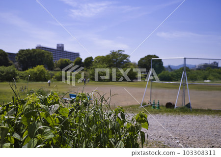 夏季河邊的河床棒球場 夏季河邊的河床棒球場 103308311