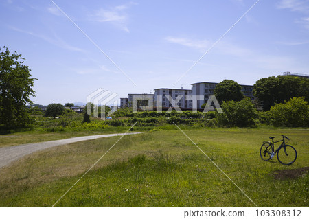 夏季河邊的河床公園 103308312