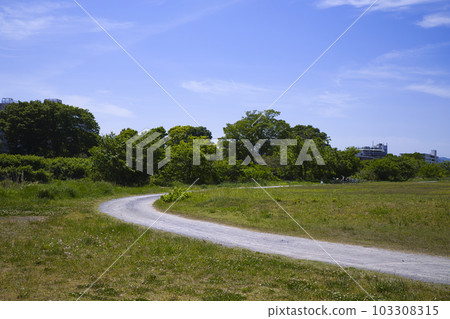 夏季河邊的河床公園 夏季河邊的河床公園 103308315