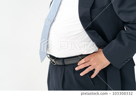 肥胖胃代謝綜合症老人 103308332