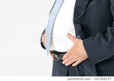 肥胖胃代謝綜合症老人 103308337