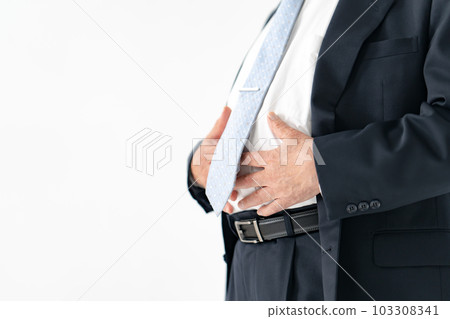 肥胖胃代謝綜合症老人 103308341