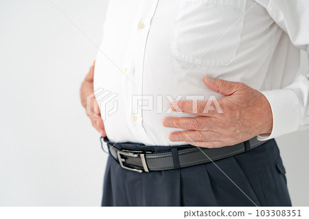 肥胖胃代謝綜合症老人 103308351