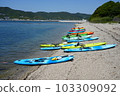 沙灘上五顏六色的皮划艇 103309092
