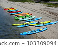 沙灘上五顏六色的皮划艇 103309094