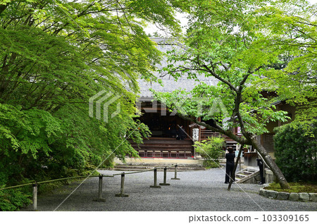 常照寺本堂 103309165