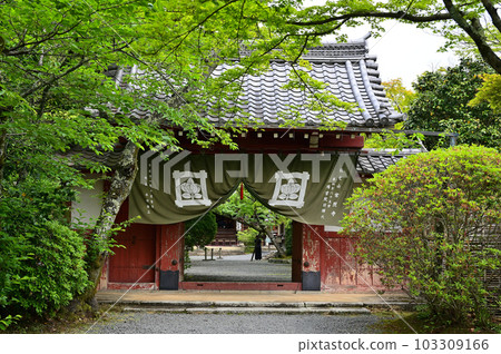 Konnoji Yoshino門 Konnoji Yoshino門 103309166