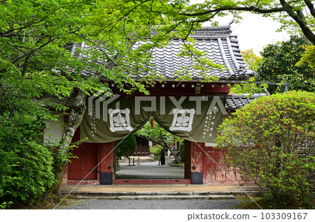 Konnoji Yoshino門 Konnoji Yoshino門 103309167