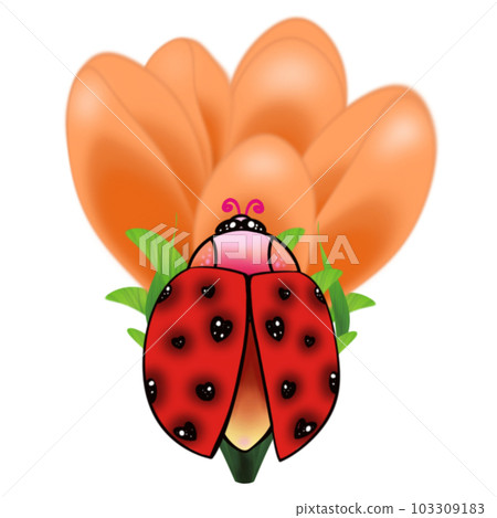 Ladybug on yellow flower Ladybug on yellow flower 103309183