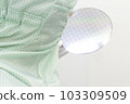 Gloved Hand Holding a Silicon Wafer in plastic holder box used in electronics for the fabrication of integrated circuits. Silicon wafer inspection. 103309509