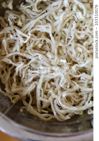 水煮蘿蔔幹 蔬菜乾 水煮蘿蔔幹 蔬菜乾 103310076