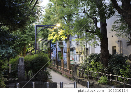 綠色城市步道 綠色城市步道 103310114