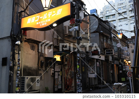 黃昏的金蓋 103310115