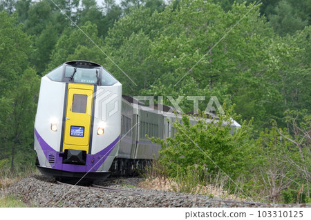 大空特快 大空根室本線 關所線 木葉 261 穿越綠意盎然的十勝地區 103310125