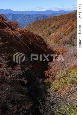 Autumn leaves along the Nisshio Momiji Line 103310354