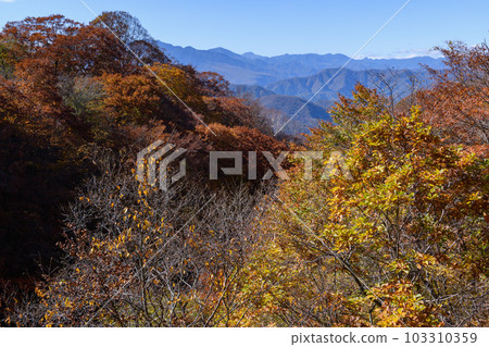 Autumn leaves along the Nisshio Momiji Line Autumn leaves along the Nisshio Momiji Line 103310359