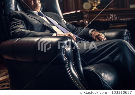 President sitting in a luxury leather chair 103310637