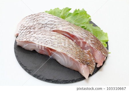 Fillet of wild red sea bream 103310667