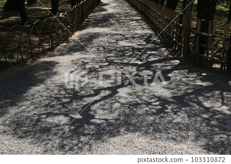 Fresh green of Ritsurin Park (late April) 103310872