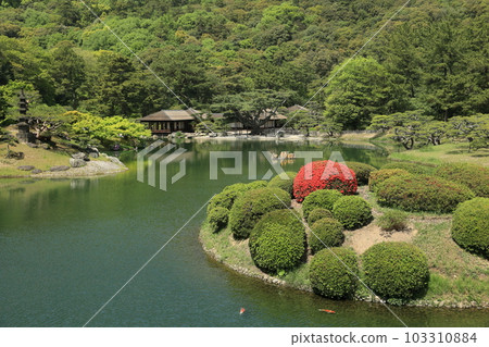 Ritsurin Park in fresh green (Late April/Azalea) 103310884