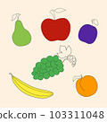 Set fruits, pear, apple, plum, grapes, banana, apricot 103311048
