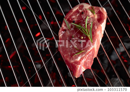 Raw steak on a grill. Raw steak on a grill. 103311570