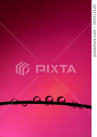 Beautiful water droplets Beautiful water droplets 103311620