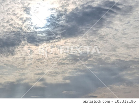 Angel ladder 103312190