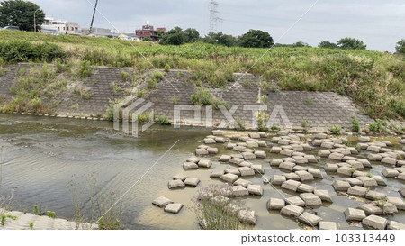 玉川玉川公園的風景 103313449