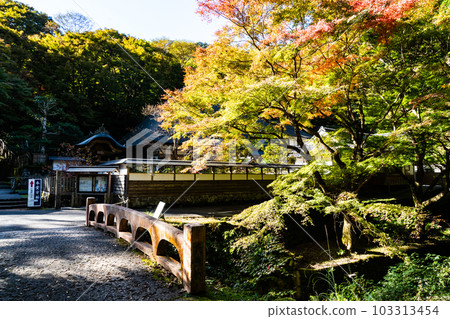 [China's 33 Kannon Sacred Sites] No. 25 Wanibuchi Temple, Approach to the Autumn Sunshine and Wanibuchi River, Izumo City, Shimane Prefecture 103313454