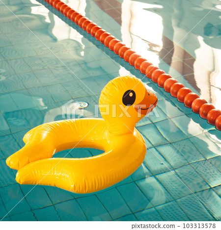 Indoor swimming pool with swim lanes and Duck rubber ring 103313578