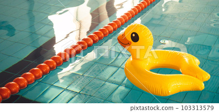 Indoor swimming pool with swim lanes and Duck rubber ring 103313579