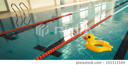 Indoor swimming pool with swim lanes and Duck rubber ring 103313584