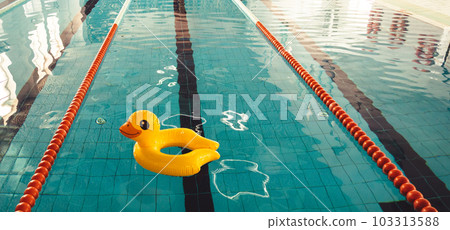Indoor swimming pool with swim lanes and Duck rubber ring Indoor swimming pool with swim lanes and Duck rubber ring 103313588