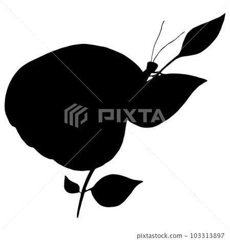 Butterfly Black Silhouette. Isolated Vector Illustration on White Background. Monochrome Butterfly Silhouette. Butterfly Black Silhouette. Isolated Vector Illustration on White Background. Monochrome Butterfly Silhouette. 103313897
