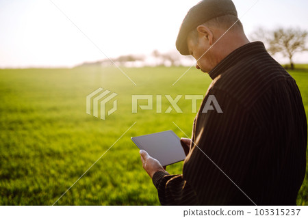 Owner farm using touch pad for check wheat quality in the field. Agronomist standing in wheat field. Owner farm using touch pad for check wheat quality in the field. Agronomist standing in wheat field. 103315237