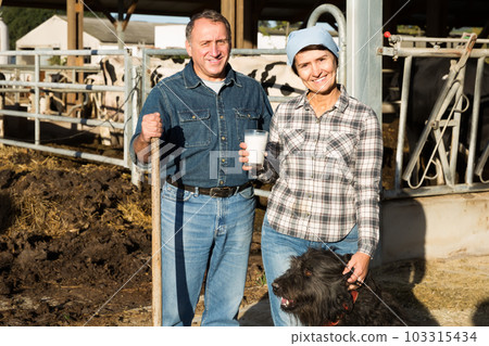 cheerful couple quality experts are checking the quality of milk at the farm cheerful couple quality experts are checking the quality of milk at the farm 103315434