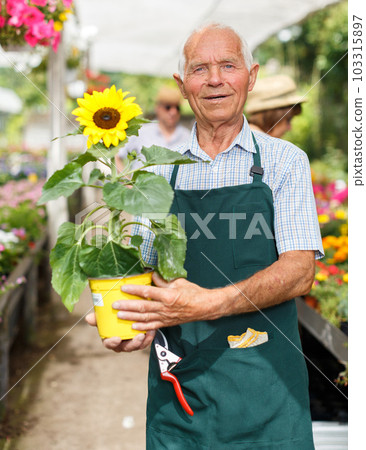 Elderly man in greenhouse Elderly man in greenhouse 103315897