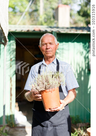 Older man gardening 103315916