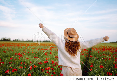 Back view. Young curly woman in hat posing in the poppy field. Summer landscape. Back view. Young curly woman in hat posing in the poppy field. Summer landscape. 103316026