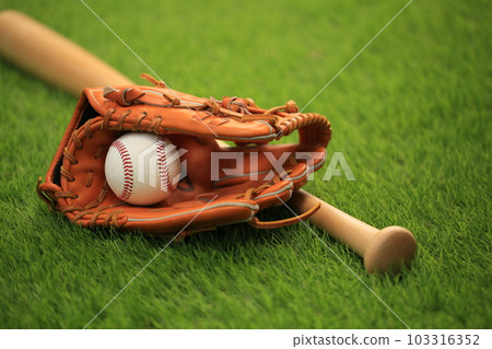 baseball glove and bat baseball glove and bat 103316352