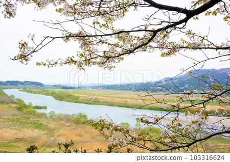Hiraizumi Kitakami River seen from Gikeido 103316624