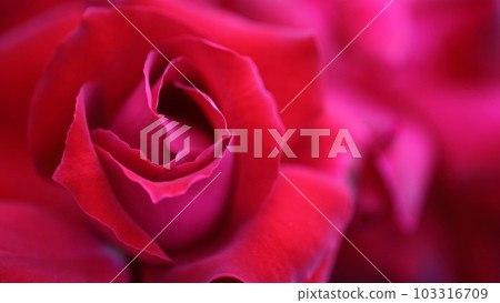 橫屏桌面激情漩渦 103316709