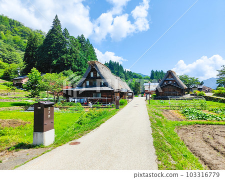 五箇山/相倉合掌造村（夏季） 103316779