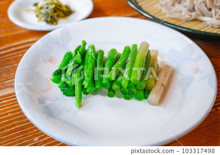 鹽漬蕁麻 103317498